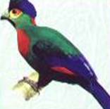 bwindinp_clip_image002_0001