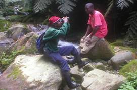 Bird guides_clip_image002