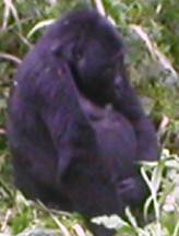 rwanda_clip_image002_0001