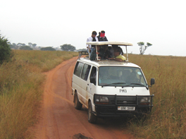 Uganda safari